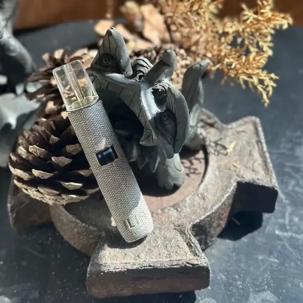 哩亞一代皮革主機 布紋灰
