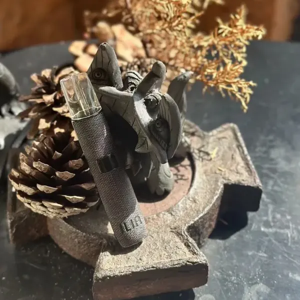 哩亞一代皮革主機 布紋黑